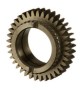 47126622_Pinon.jpg