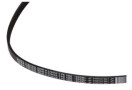 47801625_Correa.jpg