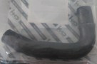 48133712.jpg