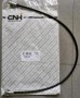 5178454.jpg