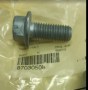 87030508_Tornillo.jpg