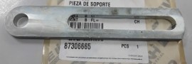 87306665.jpg