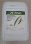 0656_ostrich.jpg