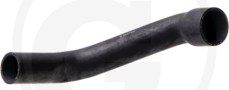 74712414_Manguito.jpg